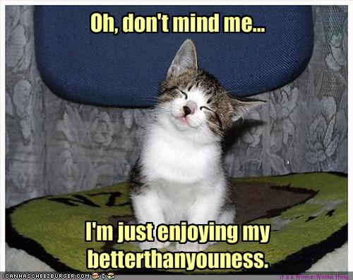 http://suzie81.files.wordpress.com/2013/11/funny-pictures-cat-thinks-he-is-better-than-you1.jpg