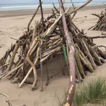 Driftwood huts on St Cyrus beach