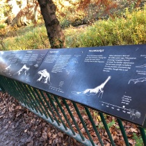 Dino Information, Crystal Palace Park